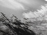 Desert Cactus, Southwest Wall Art, Canvas Print, Joshua Tree Art, Rustic Decor, Extra Wide Art, Moody Black And White Art, Above Sofa Art