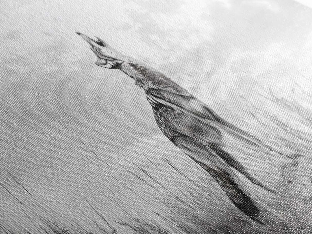 Lone Coyote, southwest wall art, wabi sabi art, extra wide art, moody art, landscape painting, framed canvas print, panoramic art