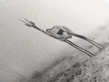 Lone Gazelle, moody art, southwest wall art, extra wide art, wabi sabi art, minimalist art, framed canvas print, panoramic painting