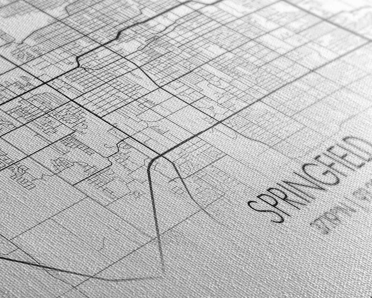 Springfield City Map, Missouri Art, Map Print, Modern Wall Art, Wall Art, Canvas Art, Lake House Wall Art, Boys Bedroom Décor, Couples Gift