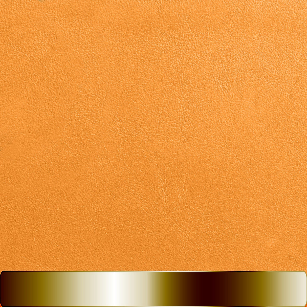 The Chapstick Holder