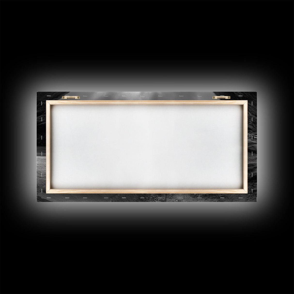 Ocean Snake Landscape, Coastal Creature Scene, Black and White Reptile, Framed Canvas Print, Moody Art, Bedroom or Den Decor