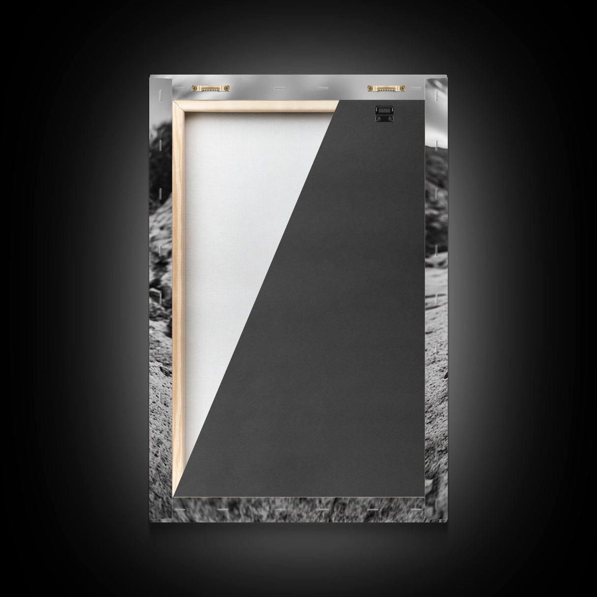 Lizard art, wildlife photography, moody art, desert decor, black and white photography, wabi sabi wall art, framed canvas print, unique gift