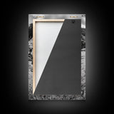 Lizard art, wildlife photography, moody art, desert decor, black and white photography, wabi sabi wall art, framed canvas print, unique gift