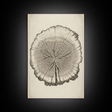 Framed Wall Art Canvas Print, Tree Cross Section, Tree Rings, Rustic Art, Farmhouse Decor, Oak Wood Tree Rings, Illustration, Gift For Him
