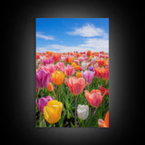 Tulip Print, Flower Wall Art, Vibrant Wall Art, Canvas Print, Wall Art, Vertical Art, Dining Room Prints, New Homeowner Gift, Ranch Decor