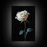 Still Life Photograph of a White Rose, Framed Canvas Print, Rose Painting, Rose Decor, Rose Wall Art, Mother's Day Gift Idea, Flower Wall Art