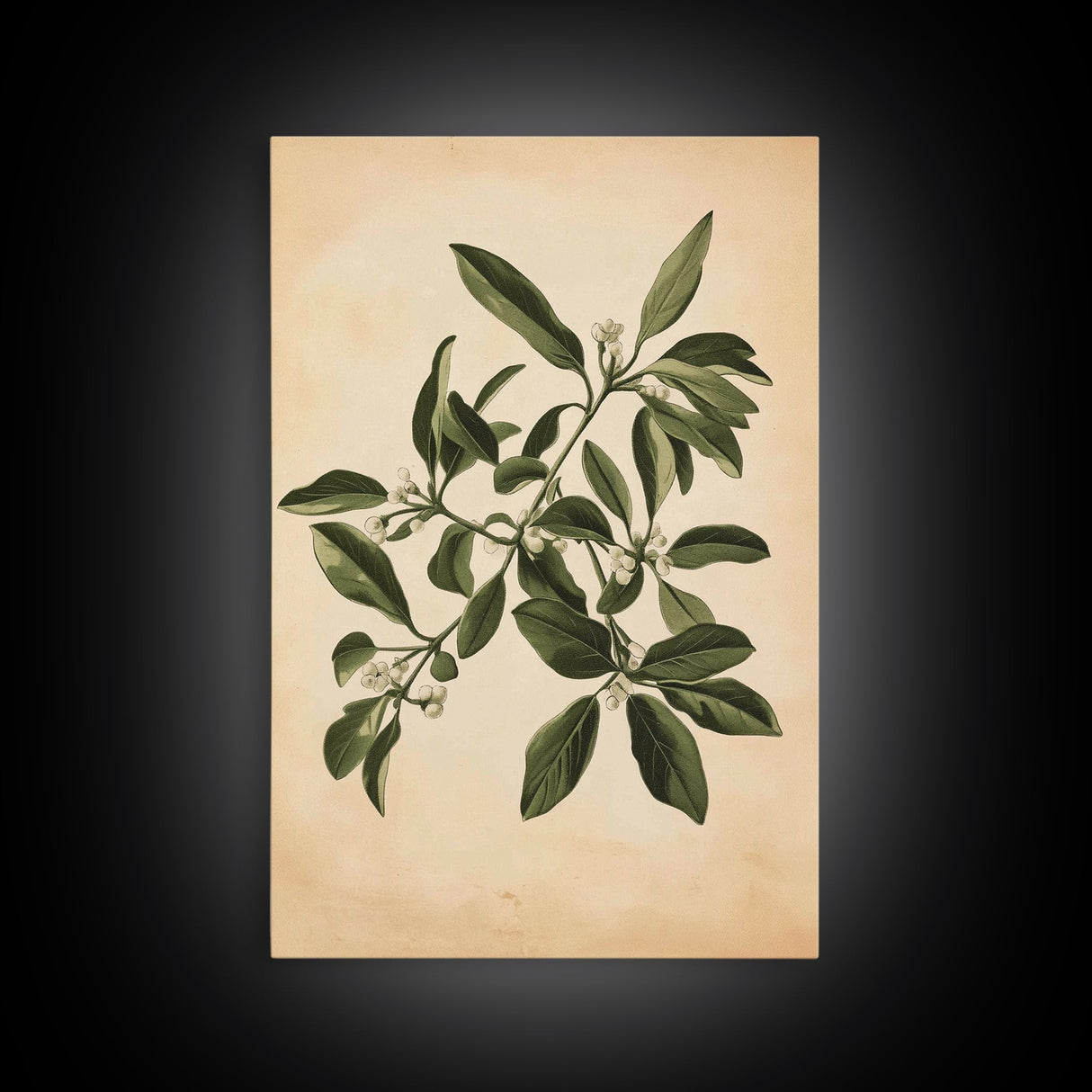 Mistletoe Canvas Print - Framed Canvas - Minimalist Christmas Art - Boho Christmas Art - Rustic Christmas Art