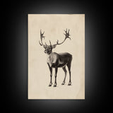 Reindeer Canvas Print - Framed Canvas - Minimalist Christmas Art - Boho Christmas Art - Rustic Christmas Art