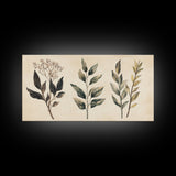 Boho Botanical Sketch Print, Botanical Wall Art, Framed Canvas Print, Minimalist Pencil Sketch Wall Art, Minimalist Home Decor, Living Room Art