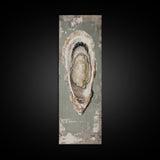 Canvas Print Rustic Oyster Shell Painting Coastal Kitchen Decor Wabi Sabi Art Living Room Art Nautical Wall Art Coastal Kitchen Decor