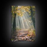 Sunlit Autumn Forest Path Canvas Print, Fall Wall Art, Nature Photography Print, Cozy Home Decor, Rustic Living Room Art, Cabin Wall Art