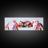 Pink Crab, Coastal Marine Art, Beach House Wall Decor, Framed Canvas Print, Nautical Aesthetic, Ocean Wildlife, Kitchen Wall Art
