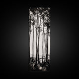 Tall Trees, Monochrome Forest, Tranquil Landscape, Framed Canvas Print, Nature Wall Art, Rustic Cabin Decor, Modern Minimalist Art