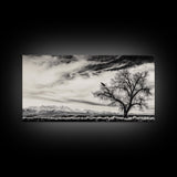 Lone Tree, Monochrome Landscape, Dramatic Sky, Framed Canvas Print, Moody Wall Art, Nature Scene, Modern Rustic Decor, Entryway Wall Art