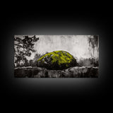 Mossy Rock, Abstract Nature, Green and Black Art, Canvas Print, Rustic Wall Decor, Boho Artwork, Modern Farmhouse Decor