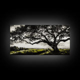 Oak Tree, Scenic Meadow, Black and White Landscape, Framed Canvas Print, Nature Wall Art, Large Canvas Artwork, Living Room Decor