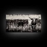 Texas Longhorn, Rustic Farmhouse, Black and White Western Art, Framed Canvas Print, Country Home Decor, Rustic Living Room Wall Art
