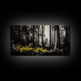 Redwood Forest, Nature Wall Art, Black and White Art, Framed Canvas Print, Rustic Home Decor, Cabin Wall Art, Minimalist Landscape