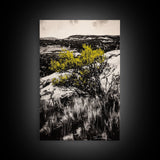 Desert Landscape Art, Minimalist Nature Print, Monochrome Decor, Rustic Mountain Scene, Living Room Wall Art, Framed Canvas Print
