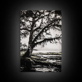 Tree Silhouette, Black White Art, Canvas Print, Dramatic Landscape, Coastal Wall Art, Nature Scene, Monochrome Decor, Minimalist Art