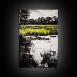 Marshland Reflections, Nature Landscape, Black and White Wall Art, Rustic Home Decor, Framed Canvas Print, Minimalist Aesthetic, Office Art