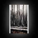 Forest Landscape, Black and White Tree Art, Moody Woodland Scene, Rustic Nature Wall Decor, Cabin Home Artwork, Framed Canvas Print