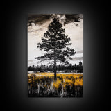 Lone Tree, Rustic Wall Art, Black and White Decor, Canvas Print, Nature Landscape, Country Home Art, Minimalist Design, Bedroom Art