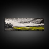 Marshland Storm, Nature Landscape, Canvas Print, Black and White Wall Art, Moody Home Decor, Living Room Artwork, Dramatic Painting, Rustic Style