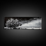 Monochrome Tree Art, Dramatic Nature Painting, Black and White Wall Decor, Minimalist Forest Print, Modern Office Art, Framed Canvas Print