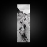Driftwood, Nature Path, Earthy Decor, Rustic Home Style, Framed Canvas Print, Living Room Wall Art, Natural Landscape Photography