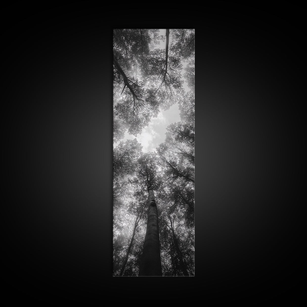 Forest Canopy, Nature Perspective, Tranquil Trees, Black and White, Framed Canvas Print, Cabin Wall Art, Scandinavian Decor, Minimalist Style