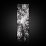 Forest Canopy, Nature Perspective, Tranquil Trees, Black and White, Framed Canvas Print, Cabin Wall Art, Scandinavian Decor, Minimalist Style