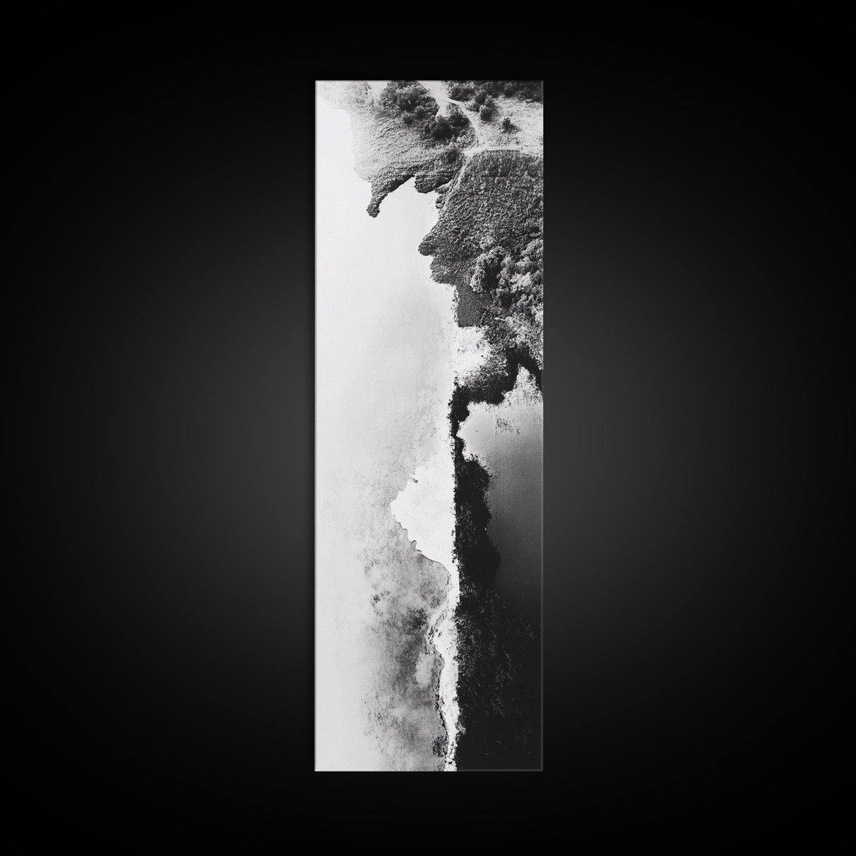Aerial Coastline, Abstract Shore, Natural Edge, Canvas Print, Modern Living Room Wall Art, Black and White Photography, Coastal Decor