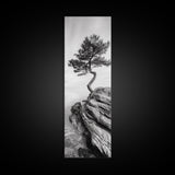 Lone Pine Tree, Minimal Nature, Tranquil Cliff Scene, Zen Forest Print, Framed Canvas Print, Japandi Wall Art, Entryway Tree Print, Nature Minimalism