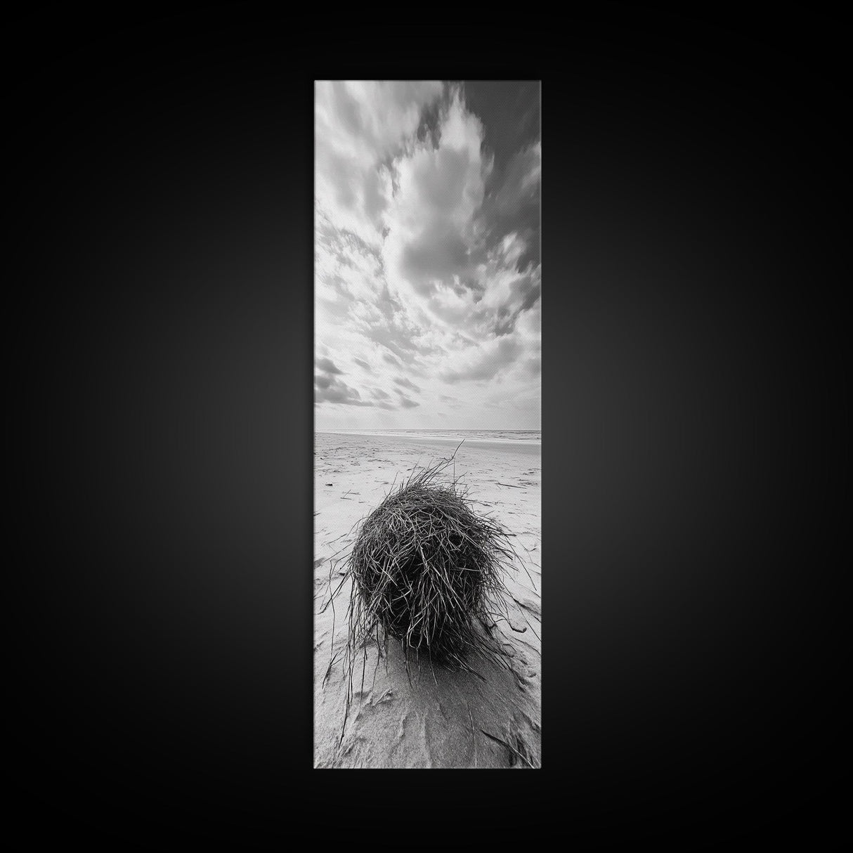 Beach Tumbleweed, Windy Dune, Coastal Drift, Seaside Simplicity, Monochrome Shoreline Framed Canvas Print, Bathroom Beach Wall Decor
