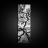 Wisdom Oak Tree, Forest Roots, Ancient Energy, Framed Canvas Print, Rustic Living Room Wall Art, Nature Inspired, Boho Woodland Art