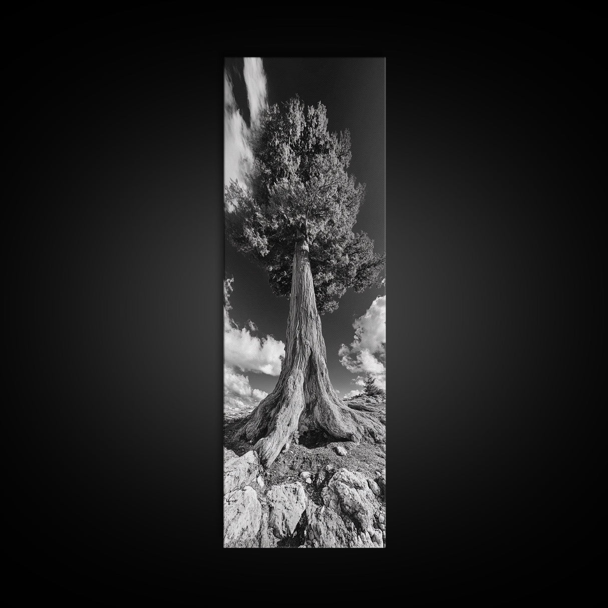 Majestic Tree, Nature Power, Earth Energy, Black White Art, Framed Canvas Print, Modern Rustic Decor, Cabin Wall Art, Tree Lover Gift