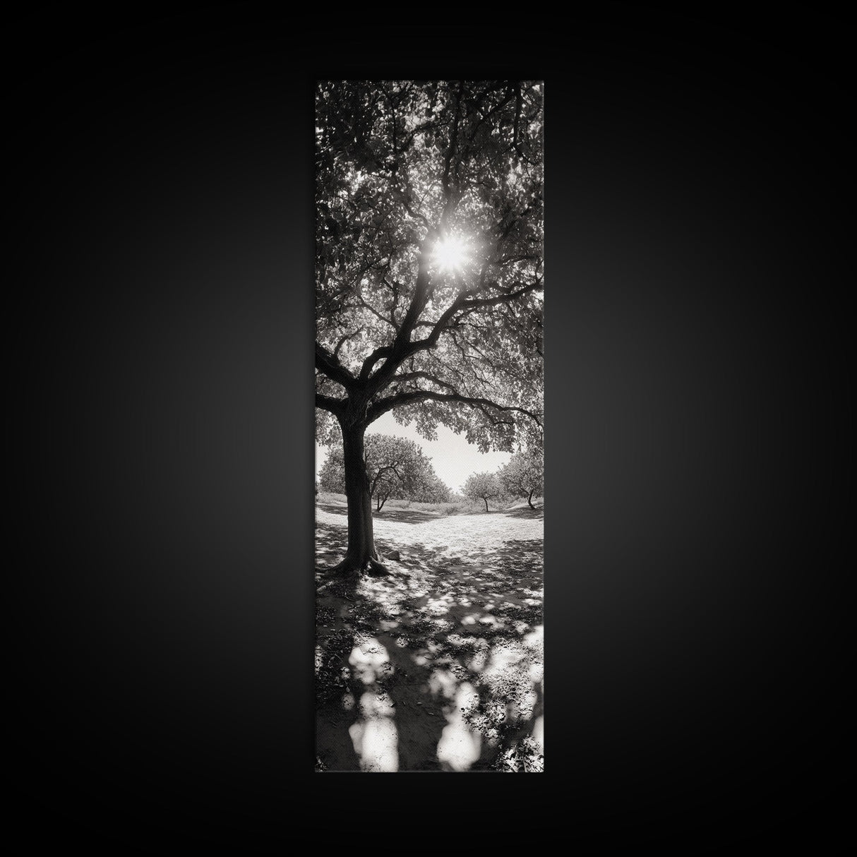 Sunlight Tree, Autumn Glow, Nature Shadowplay, Black White Forest Scene, Canvas Print, Fall Living Room Art, Boho Earthy Wall Decor