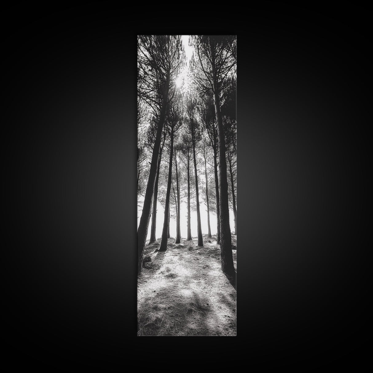 Pine Forest Glow, Woodland Landscape, Monochrome Nature, Boho Style, Framed Canvas Print, Entryway Print, Living Room Wall Art, Game Room Art