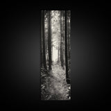 Forest Trail, Woodland Path, Light Through Trees, Nature Escape, Canvas Print, Cabin Wall Art, Cozy Autumn Home Decor, Bedroom Artwork