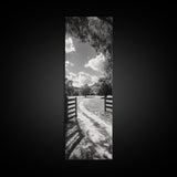 Country Road, Wooden Fence, Open Fields, Tree Shadows, Canvas Print, Rustic Farm Wall Art, Minimalist Nature Photography, Entryway Home Decor