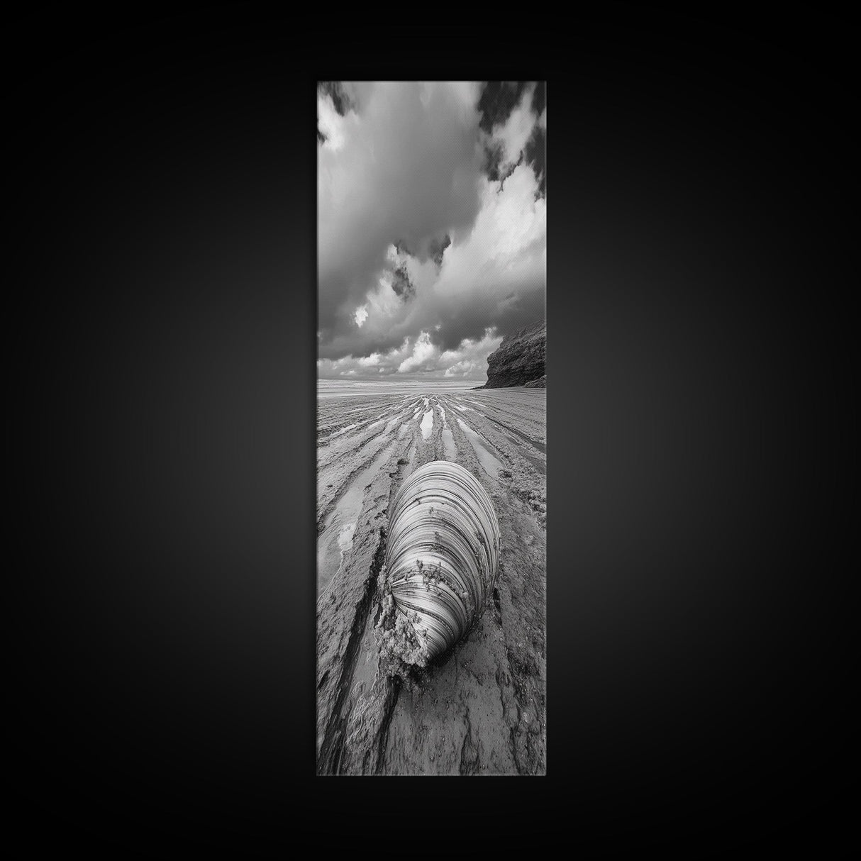 Ocean Clam, Moody Beach, Tidal Lines, Coastal Detail, Canvas Print, Nautical Bathroom Wall Art, Black and White Ocean Decor,  Den Wall Piece