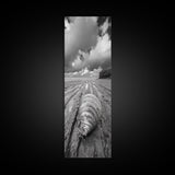 Ocean Clam, Moody Beach, Tidal Lines, Coastal Detail, Canvas Print, Nautical Bathroom Wall Art, Black and White Ocean Decor,  Den Wall Piece