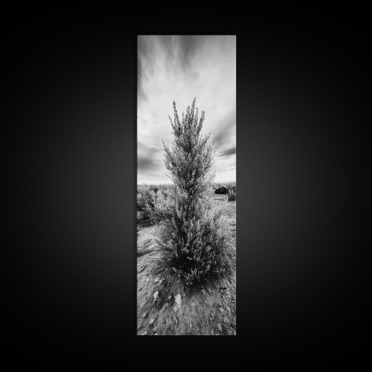 Desert Tree, Nature Minimalism, Solitary Landscape, Framed Canvas Print, Living Room Wall Art, Earth Tone Art, Tranquil Modern Decor
