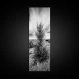 Desert Tree, Nature Minimalism, Solitary Landscape, Framed Canvas Print, Living Room Wall Art, Earth Tone Art, Tranquil Modern Decor
