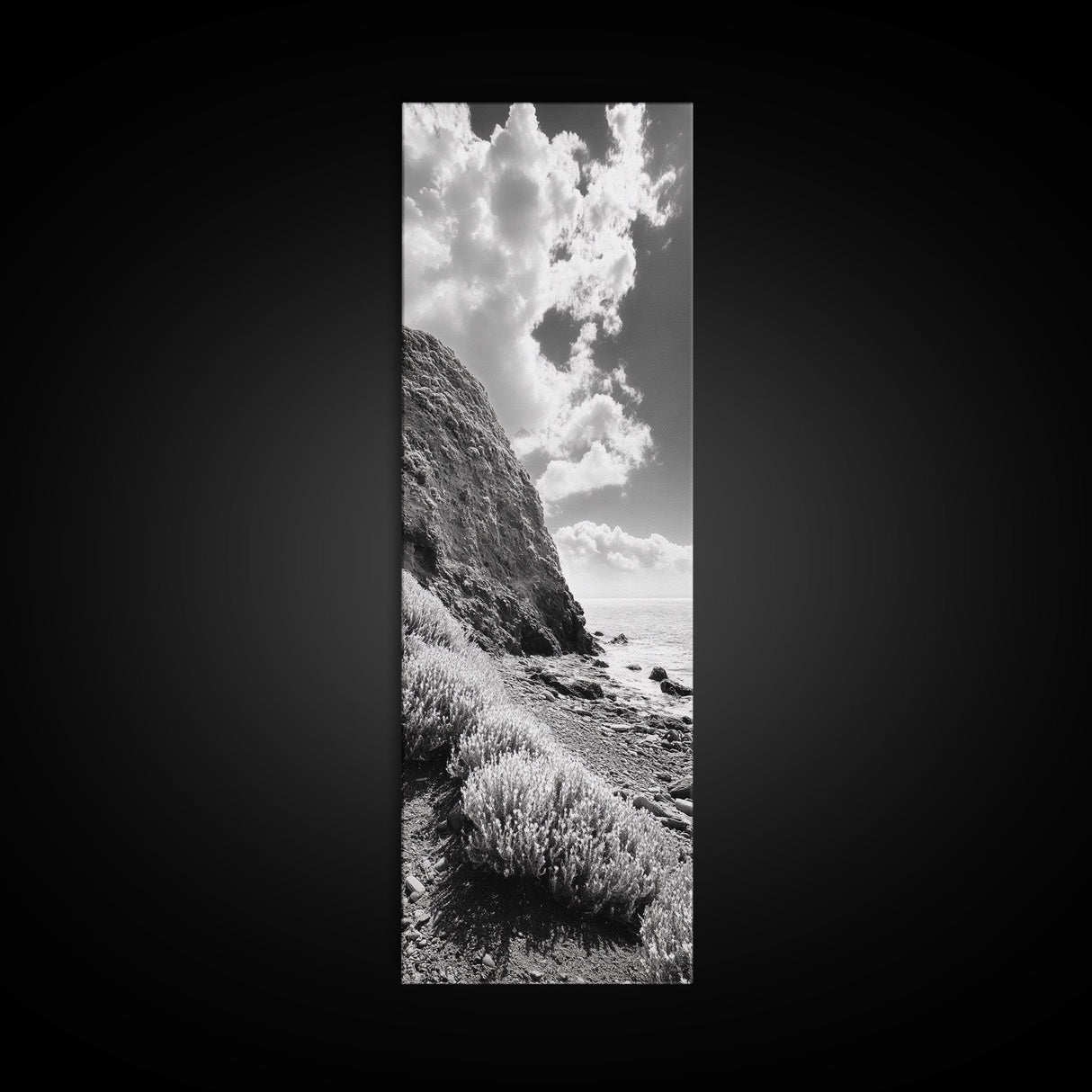 Coastal Shrubs, Rocky Beach, Sunlit Cliffside, Framed Canvas Print, Kitchen Wall Art, Black and White Nature, Scandinavian Home Style