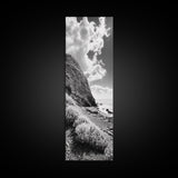 Coastal Shrubs, Rocky Beach, Sunlit Cliffside, Framed Canvas Print, Kitchen Wall Art, Black and White Nature, Scandinavian Home Style