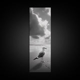 Seagull, Ocean Breeze, Beach Minimalism, Tranquil Shoreline, Seagull Photo Art, Coastal Framed Canvas Print, Bathroom Wall Decor