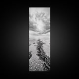 Seaweed Trail, Ocean Depth, Coastal Texture, Shoreline Calm, Marine Inspired Canvas Print, Minimalist Bathroom Wall Art, Ocean Decor